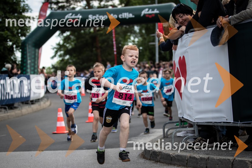 43. Maraton Treh src - tek