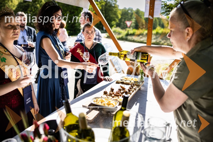 V Dupleku uspešno izpeljali prvi Dan odprtih kleti
