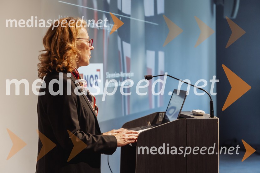  Nataša Pipan NahtigalPredstavitev Slovensko-norveškega poslovnega združenja