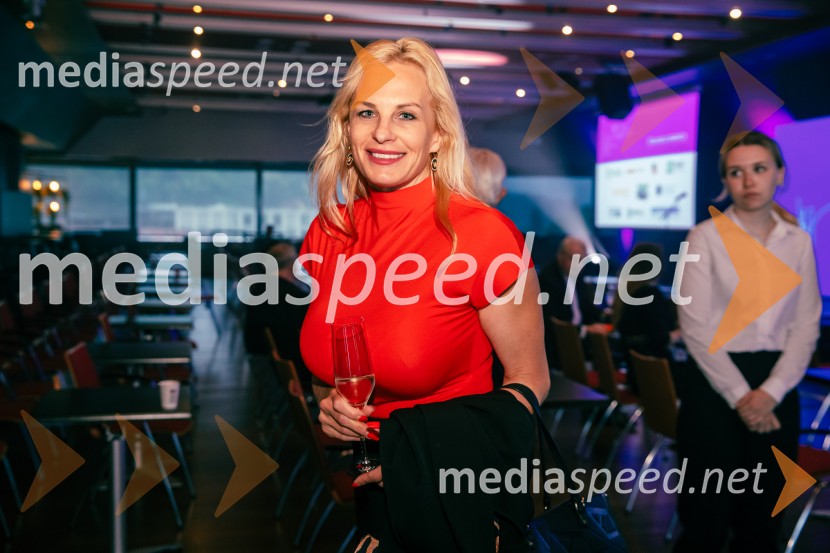 35 let javnega delovanja Kristjana Verbiča