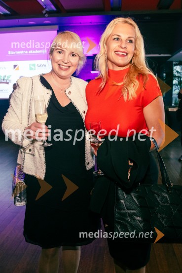 35 let javnega delovanja Kristjana Verbiča