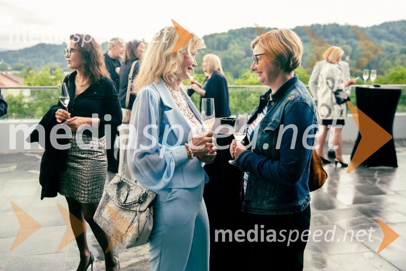 35 let javnega delovanja Kristjana Verbiča