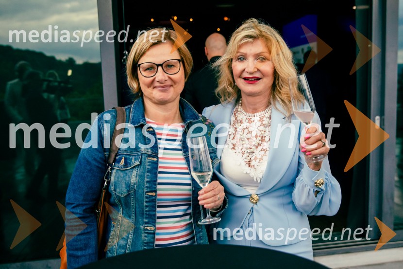 35 let javnega delovanja Kristjana Verbiča