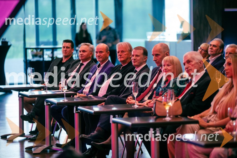 35 let javnega delovanja Kristjana Verbiča