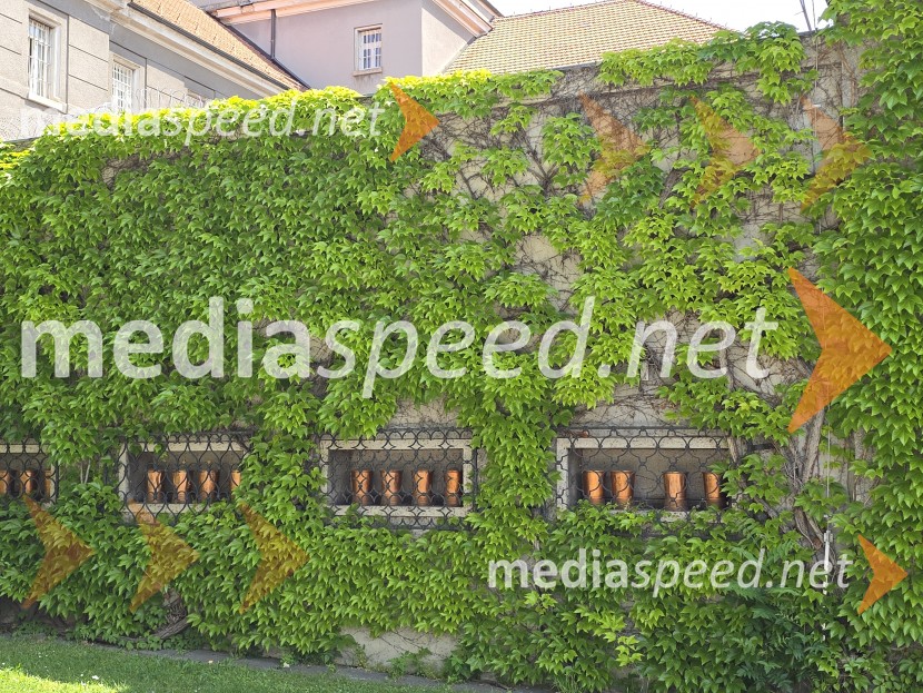 Mariborski zapor – institucija nadzora, varnosti in rehabilitacije