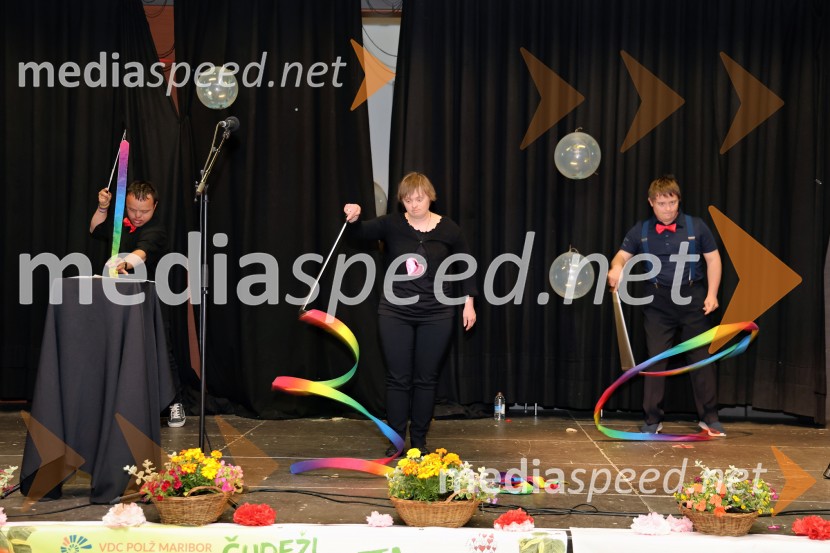 Dobrodelni koncert Čudeži sveta