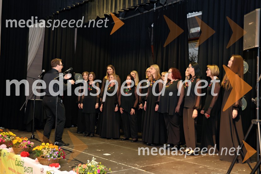 Dobrodelni koncert Čudeži sveta