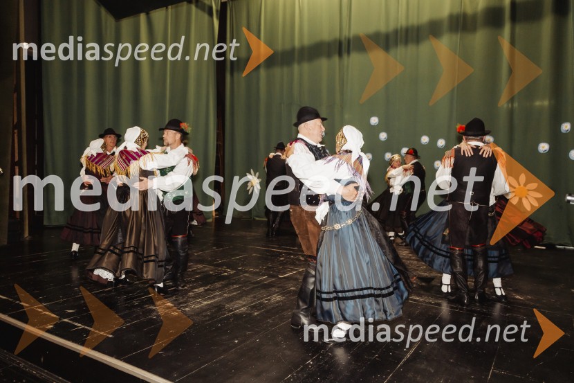 Parada učenja Ljudske univerze Kranj 2025