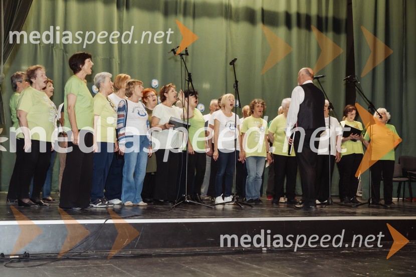 Parada učenja Ljudske univerze Kranj 2025