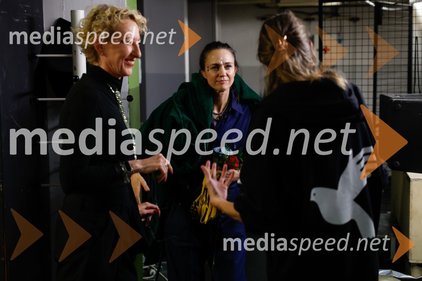  ... ;  Katarina Stegnar, igralka55. člen, premiera drame v Slovenskem mladinskem gledališču