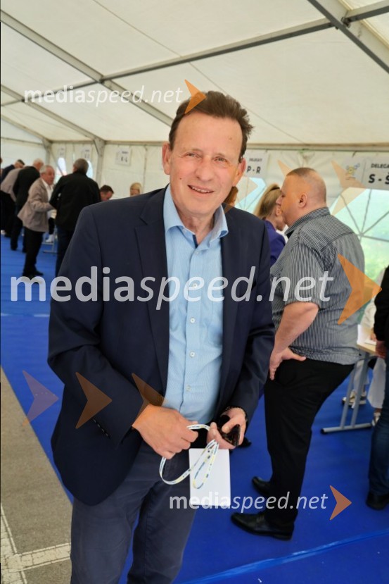 13. Kongres Slovenske demokratske stranke