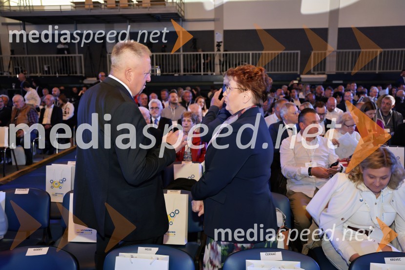 13. Kongres Slovenske demokratske stranke