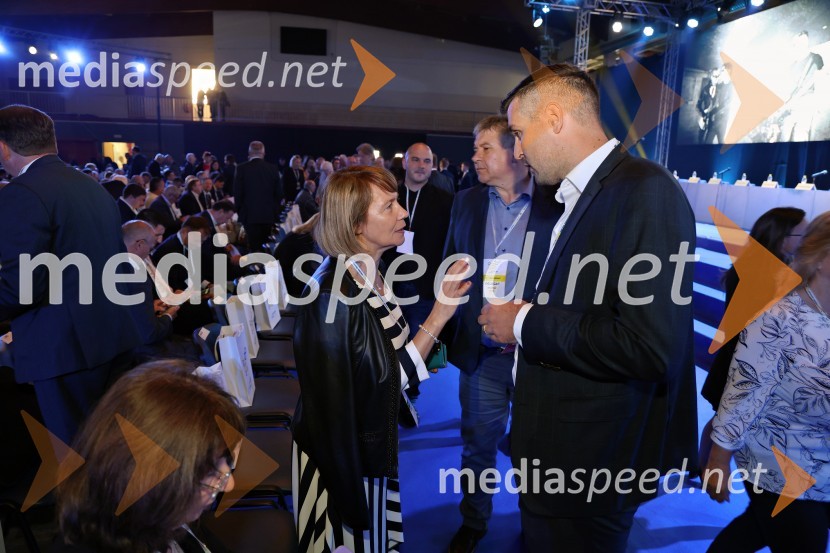 13. Kongres Slovenske demokratske stranke