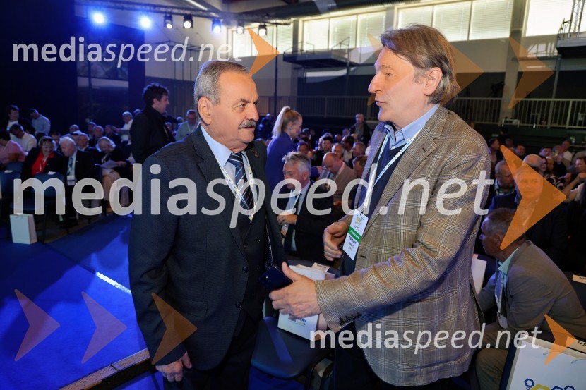 13. Kongres Slovenske demokratske stranke