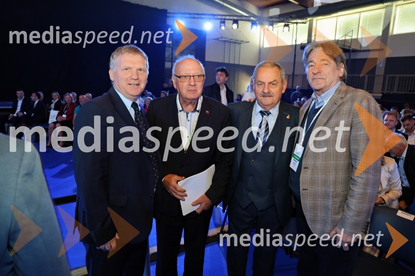 13. Kongres Slovenske demokratske stranke