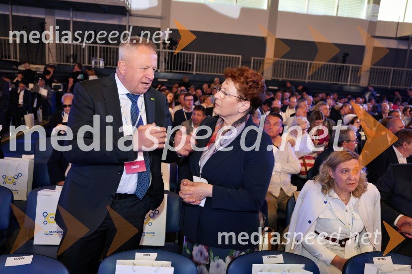 13. Kongres Slovenske demokratske stranke