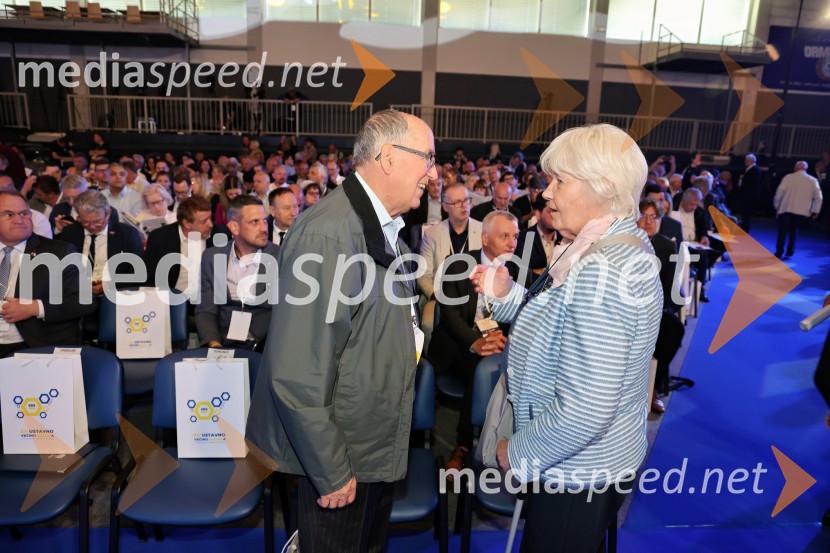 13. Kongres Slovenske demokratske stranke