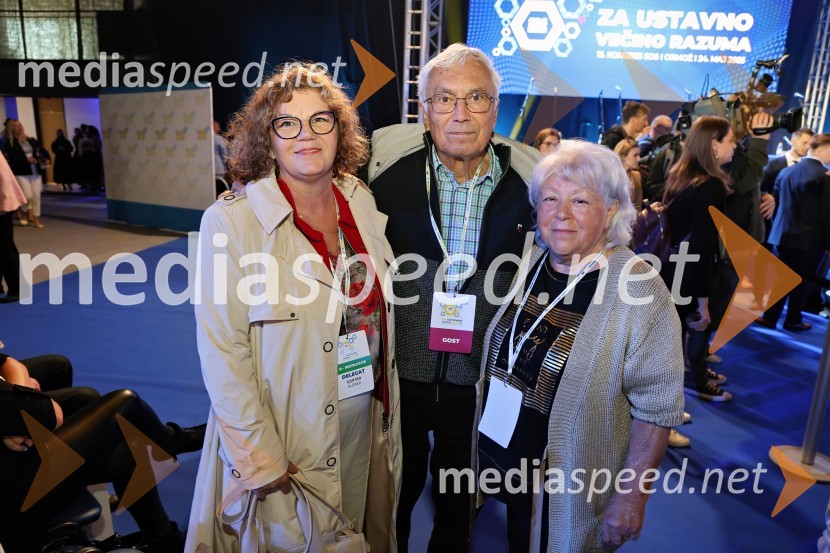 13. Kongres Slovenske demokratske stranke