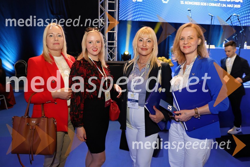 13. Kongres Slovenske demokratske stranke