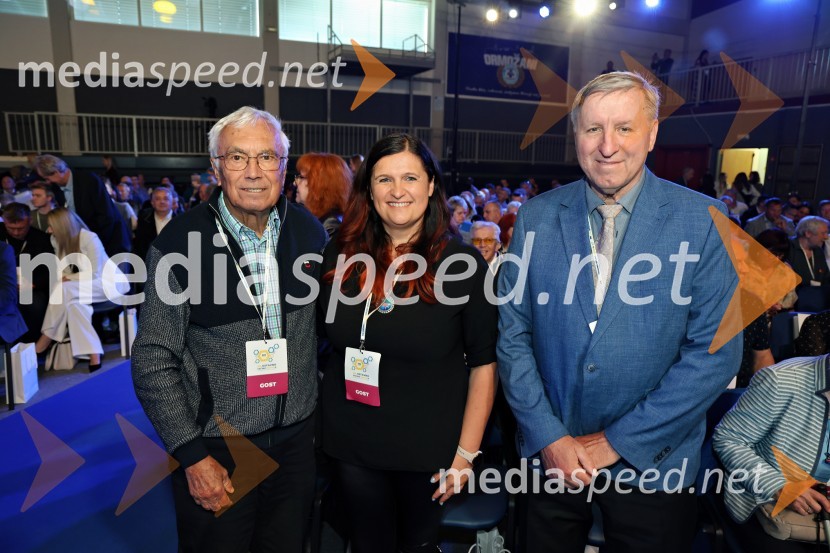 13. Kongres Slovenske demokratske stranke