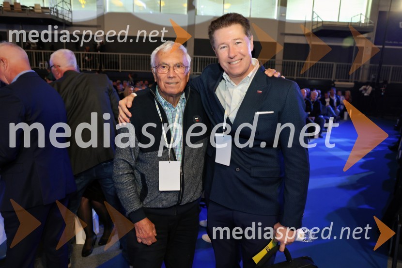 13. Kongres Slovenske demokratske stranke