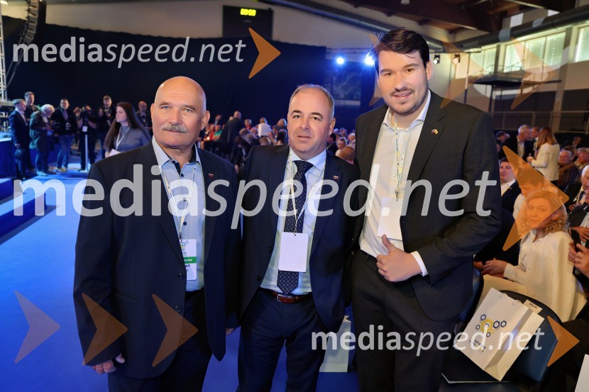 13. Kongres Slovenske demokratske stranke