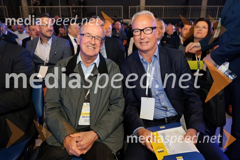 13. Kongres Slovenske demokratske stranke