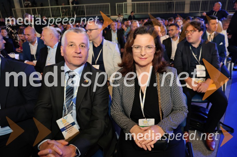 13. Kongres Slovenske demokratske stranke