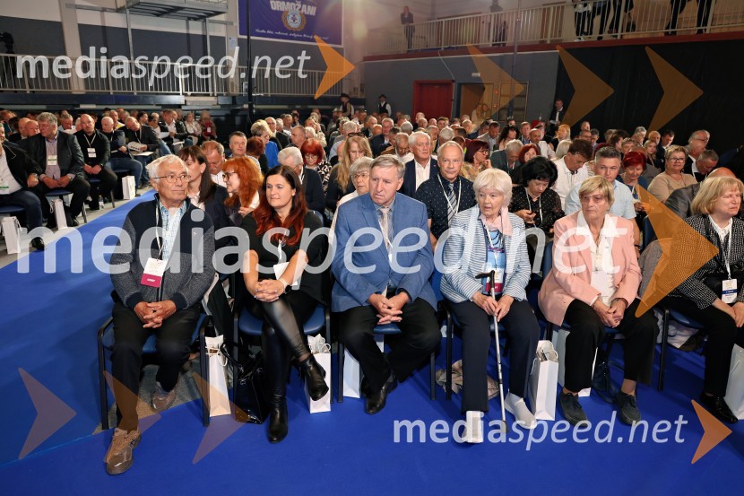 13. Kongres Slovenske demokratske stranke