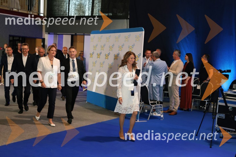 13. Kongres Slovenske demokratske stranke