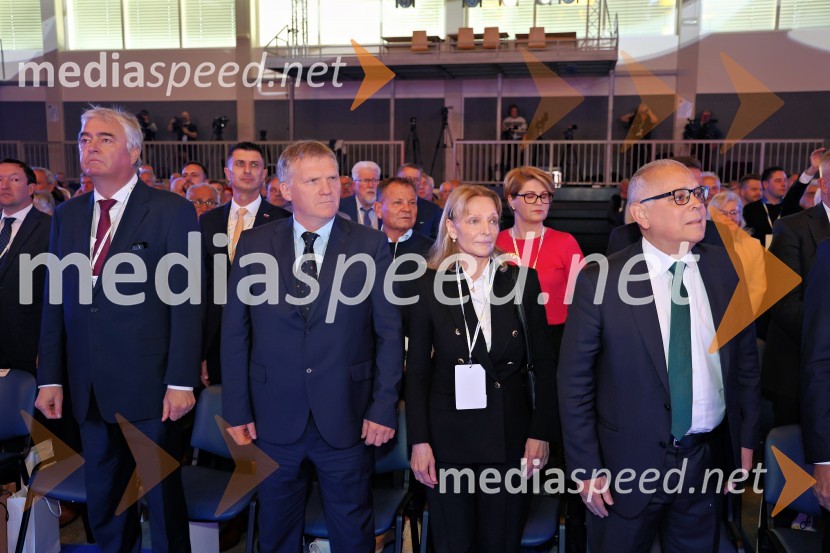 13. Kongres Slovenske demokratske stranke