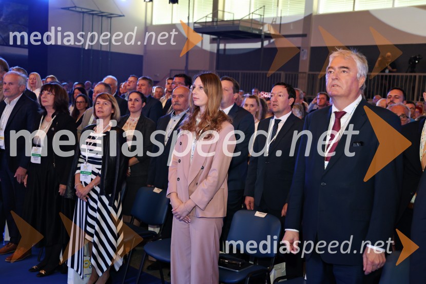 13. Kongres Slovenske demokratske stranke