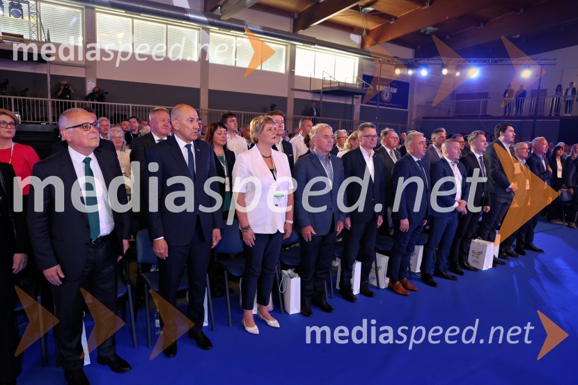 13. Kongres Slovenske demokratske stranke