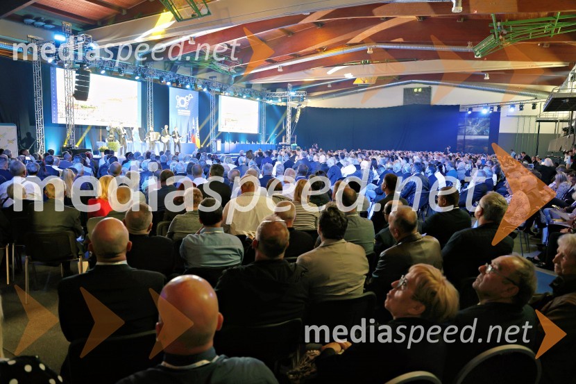 13. Kongres Slovenske demokratske stranke