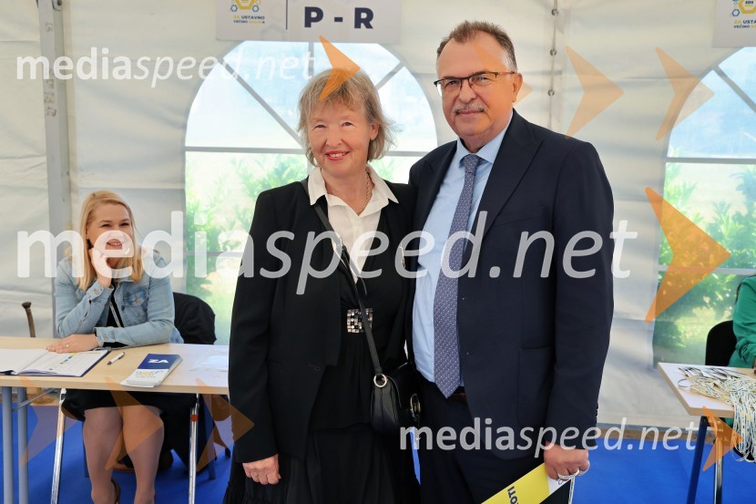 13. Kongres Slovenske demokratske stranke