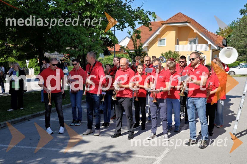 13. Kongres Slovenske demokratske stranke