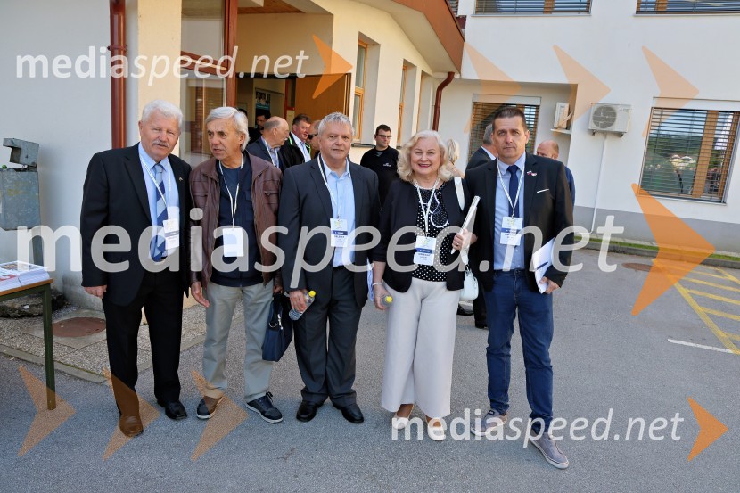 13. Kongres Slovenske demokratske stranke