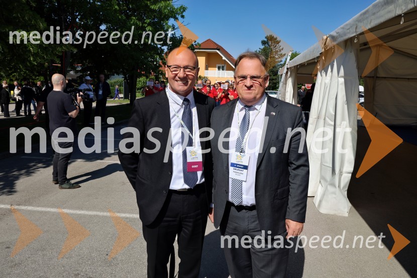 13. Kongres Slovenske demokratske stranke