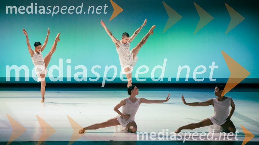 Pastoral v izvedbi Malandain Ballet Biarritz, Cankarjev dom