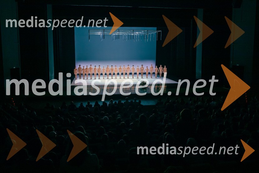 Pastoral v izvedbi Malandain Ballet Biarritz, Cankarjev dom