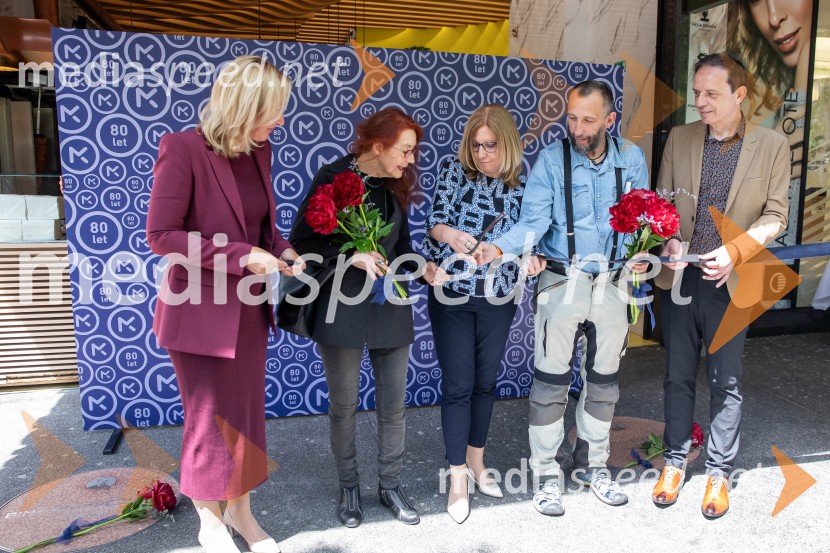  ... ;  Bina Štampe Žmavc, pisateljica; mag. Petra Novak, v. d. predsednice uprave Mladinska knjiga;  Damijan Stepančič, ilustrator in slikar;  ... Razglasitev prejemnikov Levstikovih nagrad Mladinske knjige, novinarska konferenca