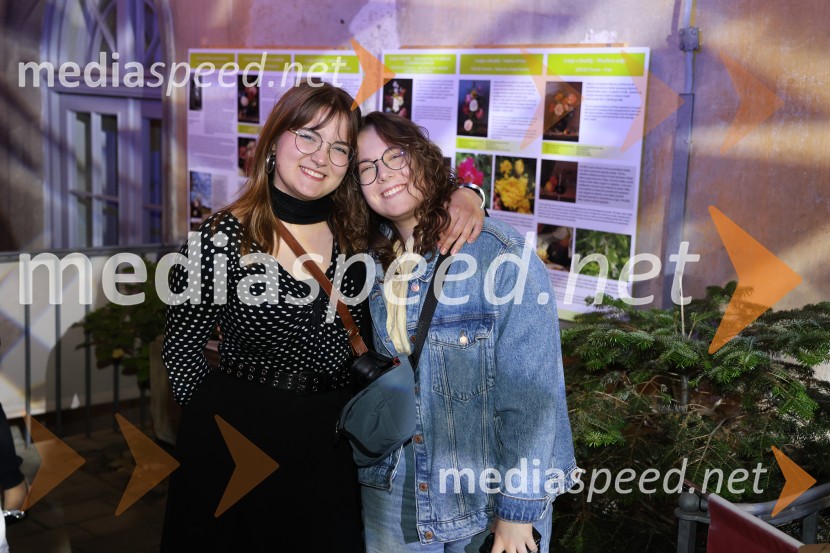 Mesec mode v muzeju, zaključna modna revija in 80's party