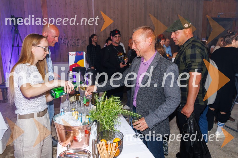 Zlata piščal 2025, podelitev glasbenih nagrad