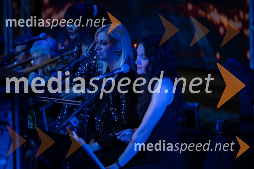 Helena Blagne, koncert ob 40-letnici glasbene kariere