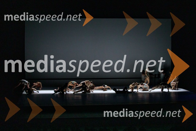 Sydney Dance Company: Dvojina, plesna predstava v Cankarjevem domu