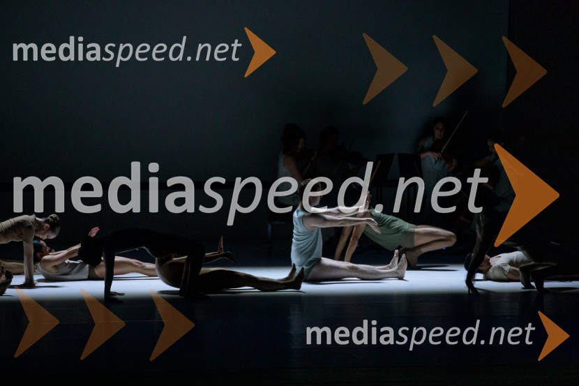 Sydney Dance Company: Dvojina, plesna predstava v Cankarjevem domu