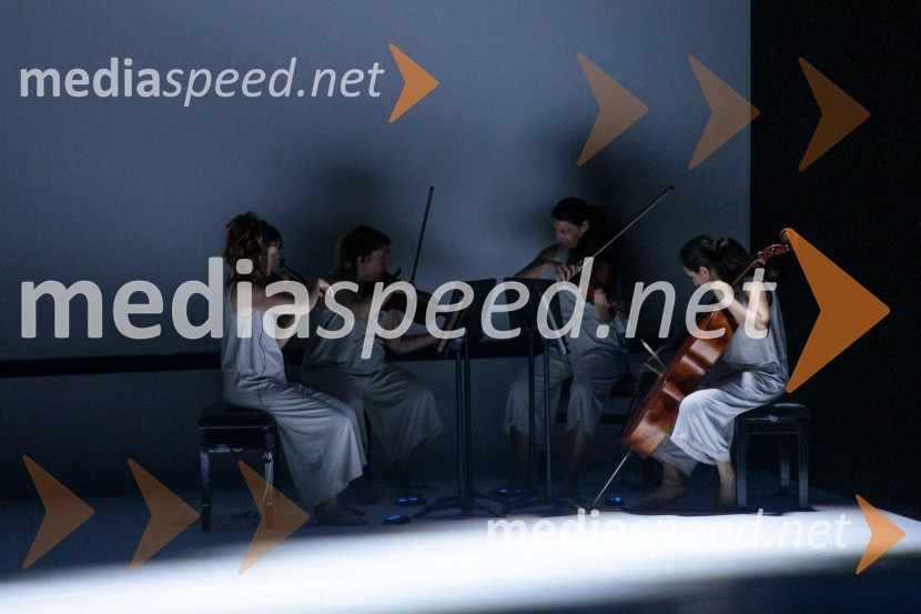 Sydney Dance Company: Dvojina, plesna predstava v Cankarjevem domu