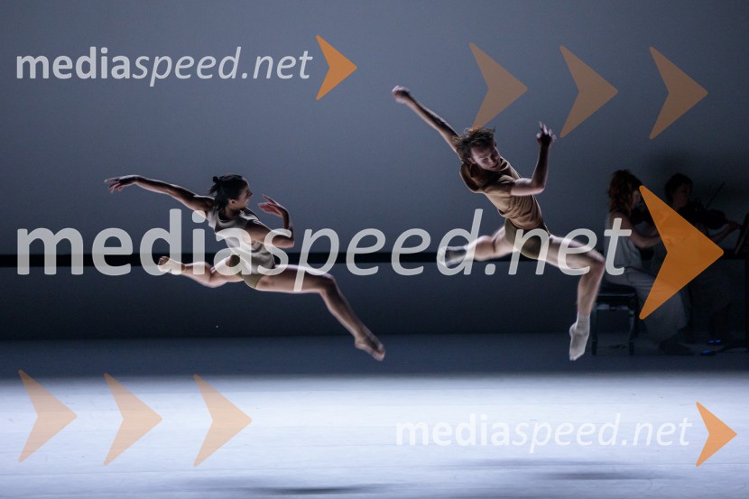 Sydney Dance Company: Dvojina, plesna predstava v Cankarjevem domu