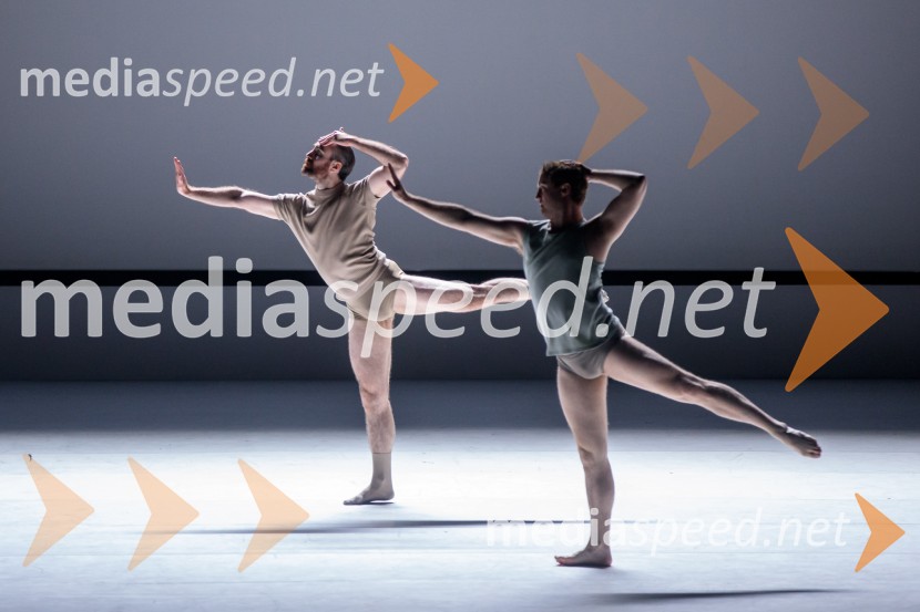 Sydney Dance Company: Dvojina, plesna predstava v Cankarjevem domu