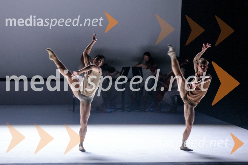 Sydney Dance Company: Dvojina, plesna predstava v Cankarjevem domu